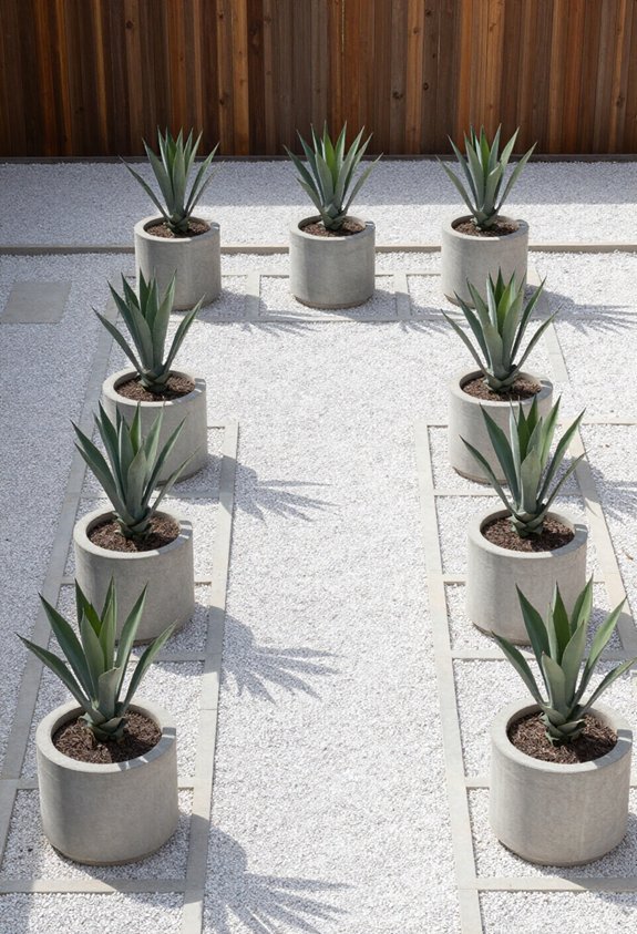 identical containers uniform planting