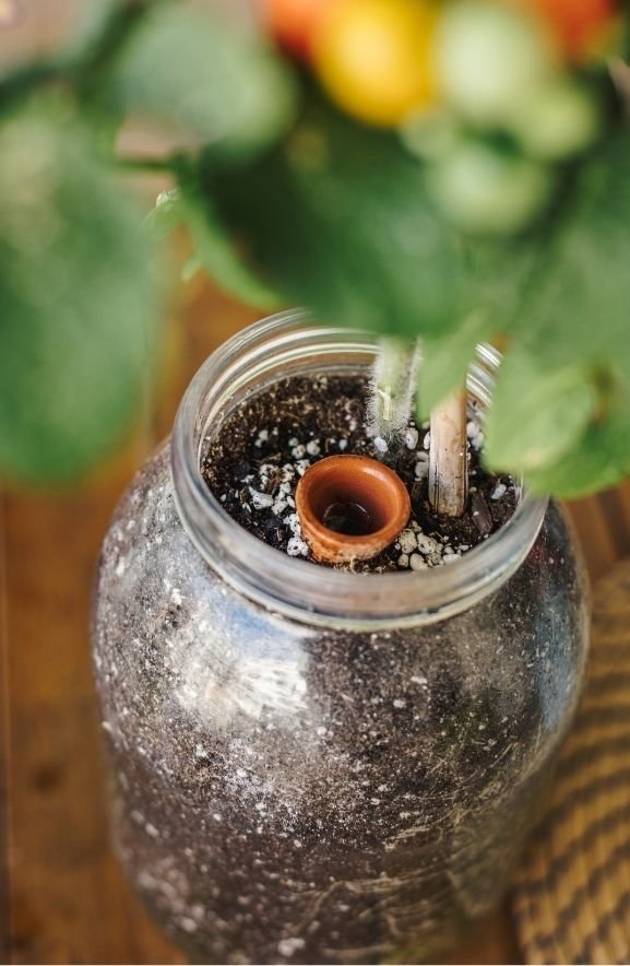 Self-Watering Systems: How They Work and When to Use Them