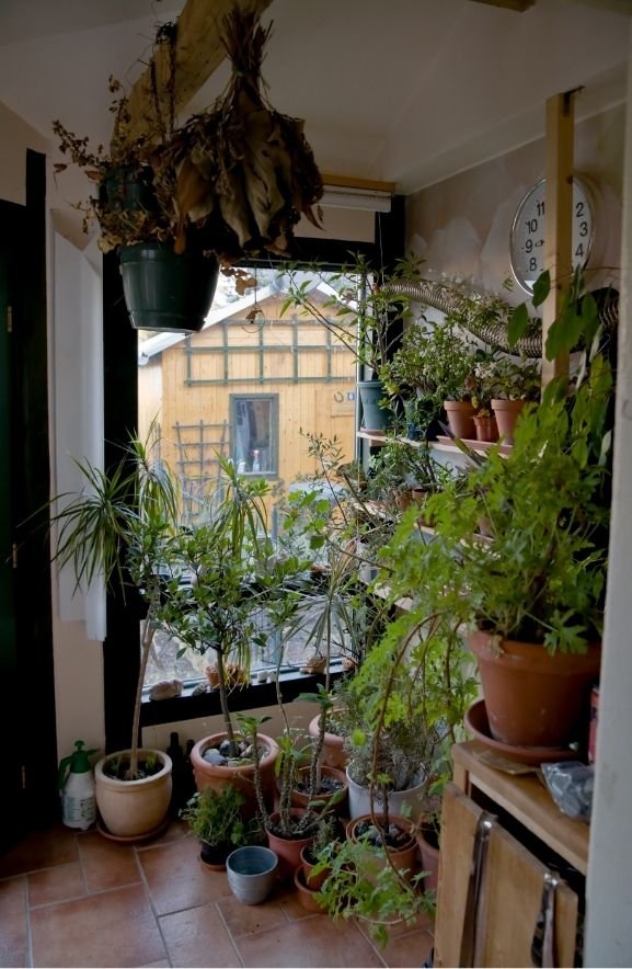 Winter Weather Protection Strategies