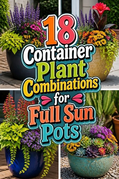 18 Container Plant Combinations for Full Sun Pots
