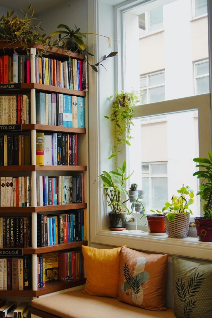 Assess Your Light Conditions Before You Start