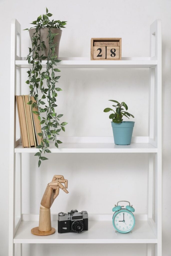 Bookshelf With Plants (1)