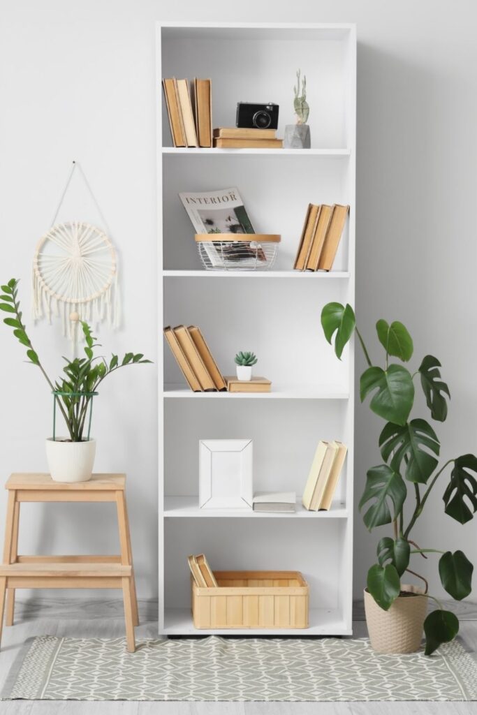 bookshelf with plant