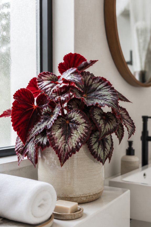 moisture loving decorative foliage