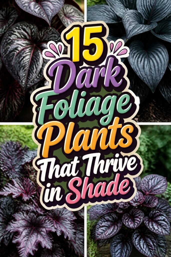 15 Dark Foliage Plants That Thrive in Shade