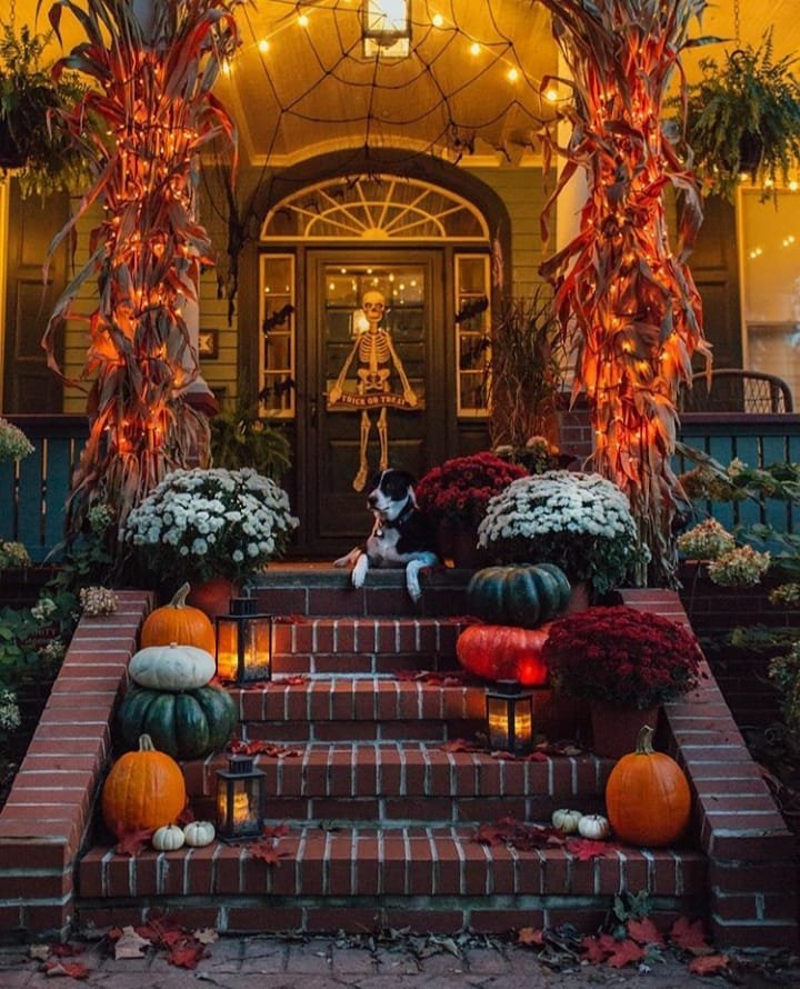 Build a Cornstalk Entrance Around Pots of Mums