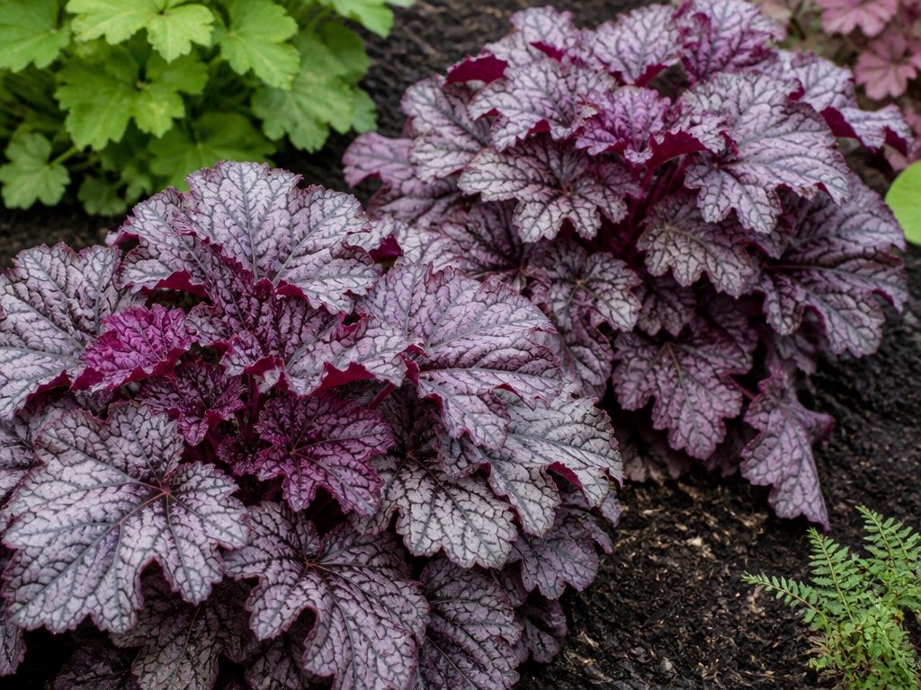 dramatic foliage for shade