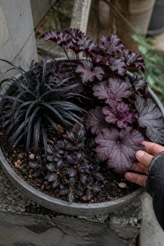 gothic garden dark foliage