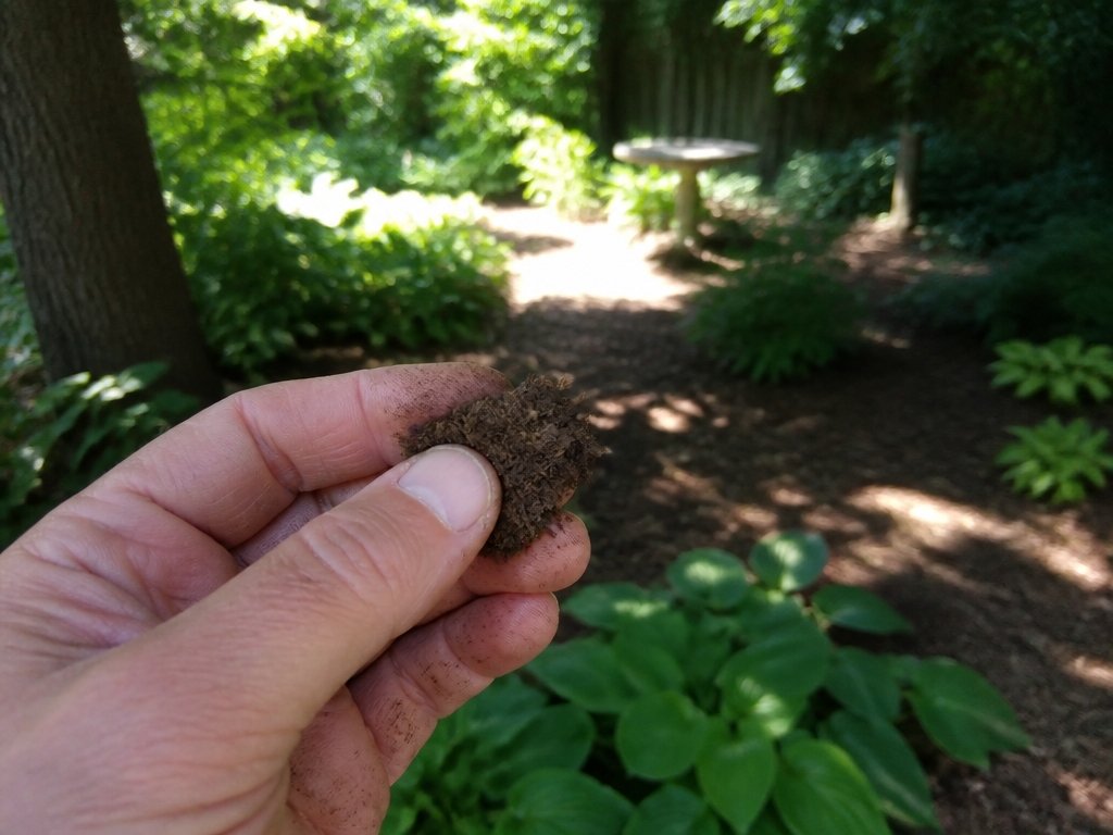 shade types influence plant survival