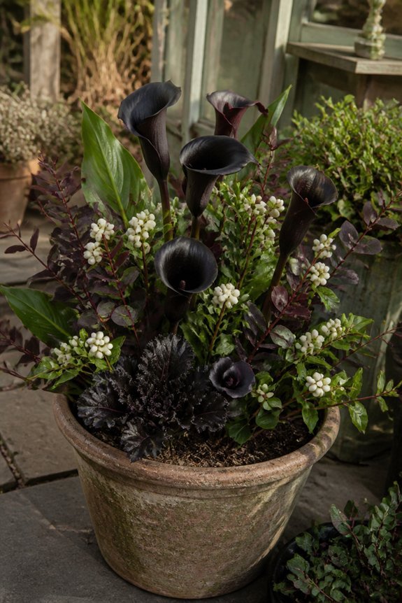 striking fall container display