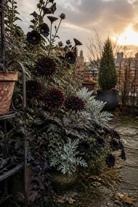 year round gothic garden maintenance