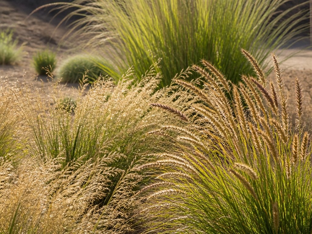 year round texture and movement